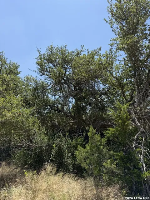 TBD SD 45425 Rocksprings, TX 78880