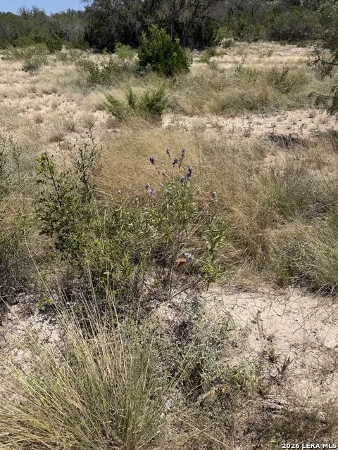 TBD SD 45425 Rocksprings, TX 78880