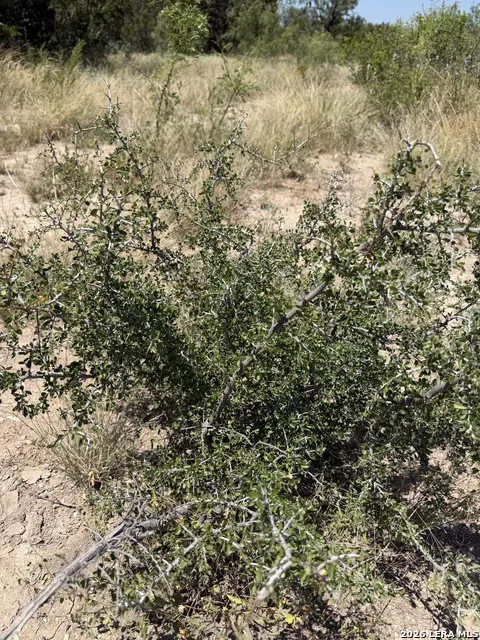 TBD SD 45425 Rocksprings, TX 78880