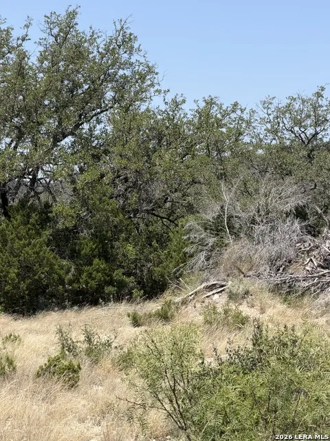 TBD SD 45425 Rocksprings, TX 78880