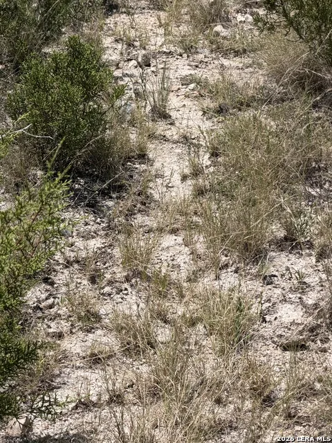 TBD SD 45425 Rocksprings, TX 78880