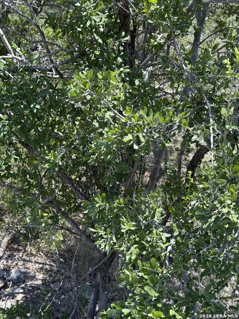 TBD SD 45425 Rocksprings, TX 78880