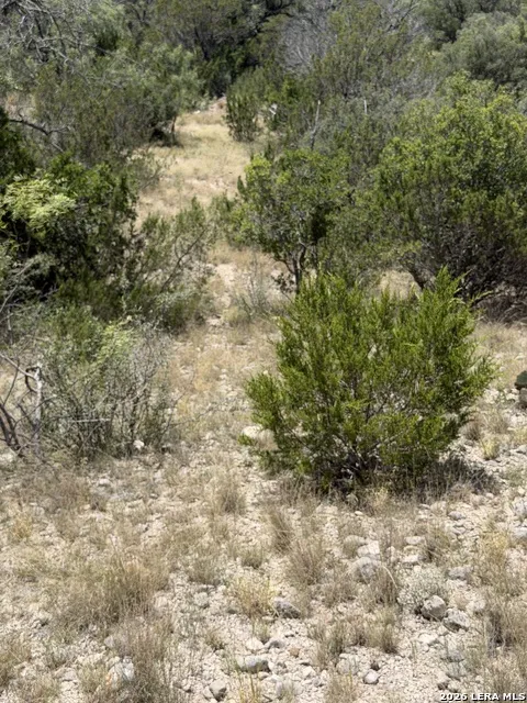 TBD SD 45425 Rocksprings, TX 78880