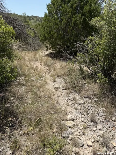 TBD SD 45425 Rocksprings, TX 78880