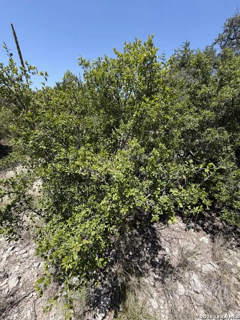 TBD SD 45425 Rocksprings, TX 78880