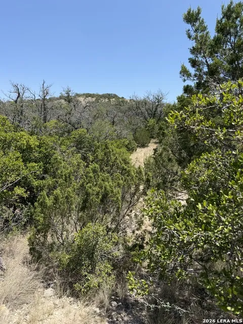 TBD SD 45425 Rocksprings, TX 78880