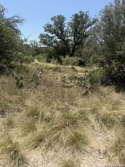 TBD SD 45425 Rocksprings, TX 78880
