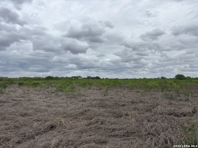 1460 County Road 193 Karnes City, TX 78118