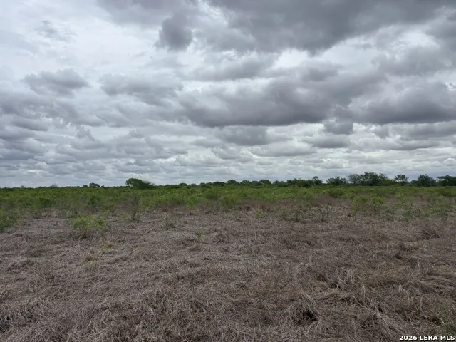 1460 County Road 193 Karnes City, TX 78118