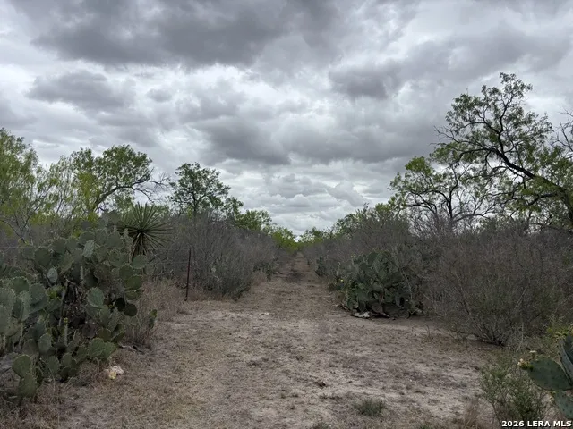 1460 County Road 193 Karnes City, TX 78118