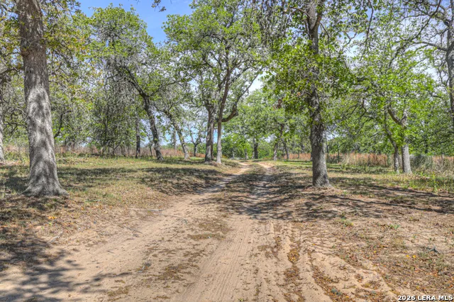3165 Vivroux Ranch Rd Seguin, TX 78155