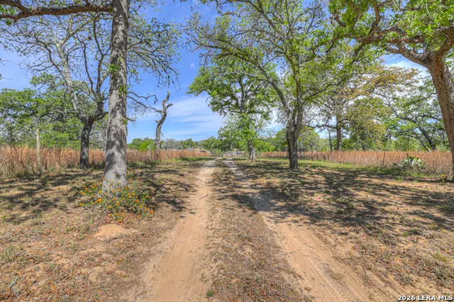 3165 Vivroux Ranch Rd Seguin, TX 78155