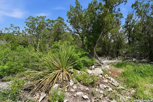 17398 TX Hwy 127 Sabinal, TX 78881