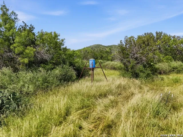 17398 TX Hwy 127 Sabinal, TX 78881
