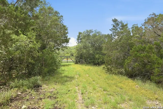 17398 TX Hwy 127 Sabinal, TX 78881