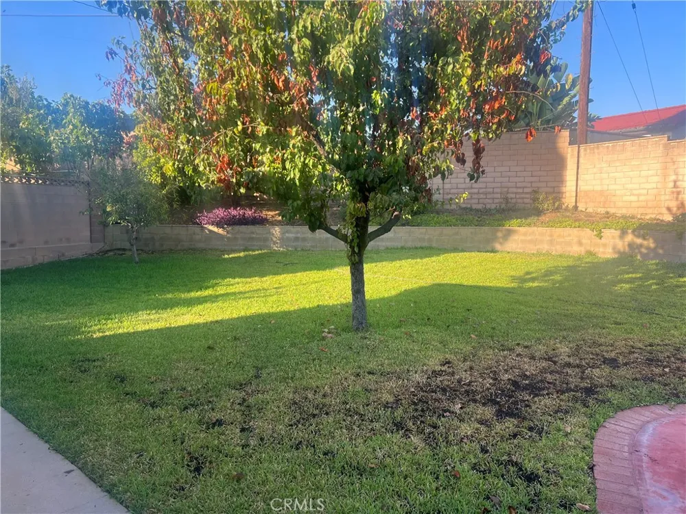 904 Mccart Brea, CA 92821