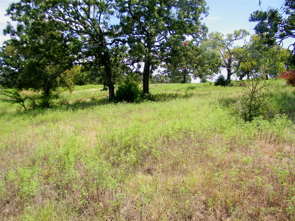 S 230th Road Henryetta, OK 74437