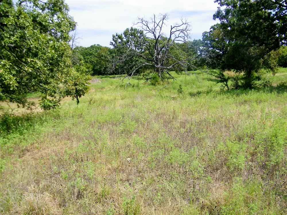S 230th Road Henryetta, OK 74437