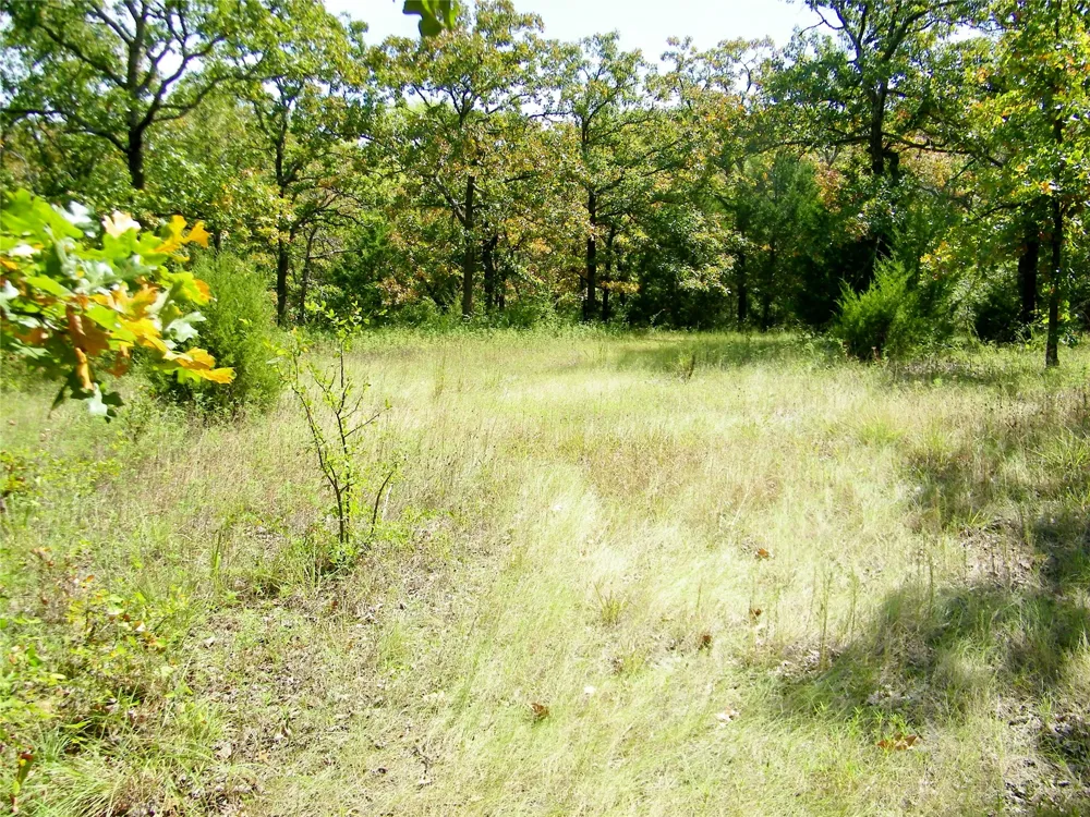 S 230th Road Henryetta, OK 74437