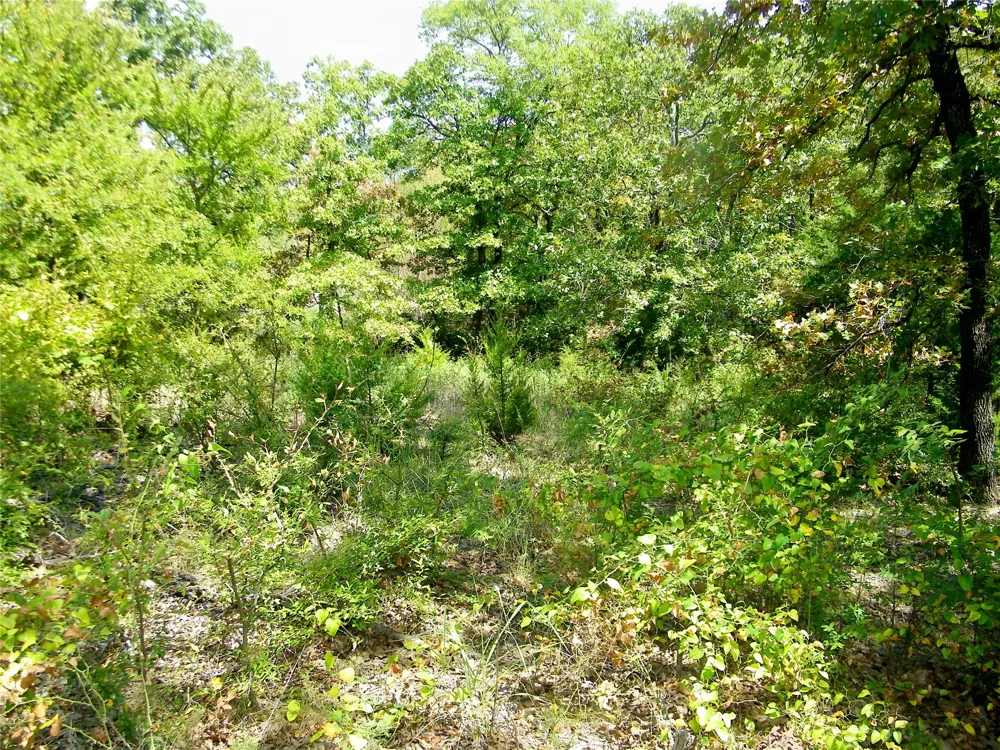 S 230th Road Henryetta, OK 74437