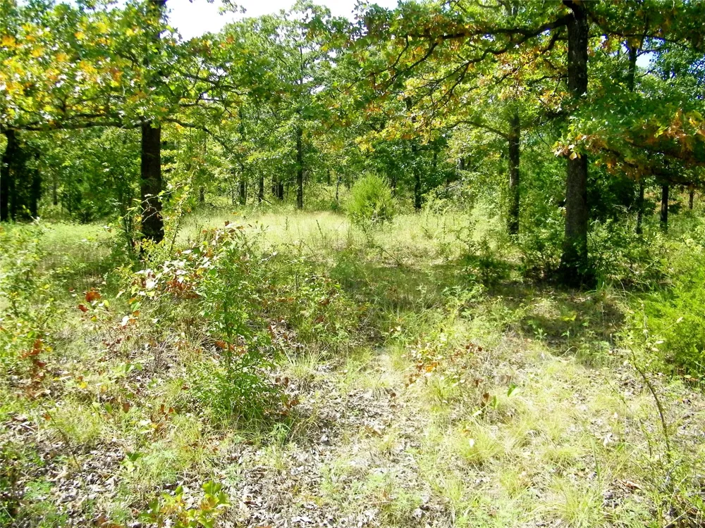 S 230th Road Henryetta, OK 74437