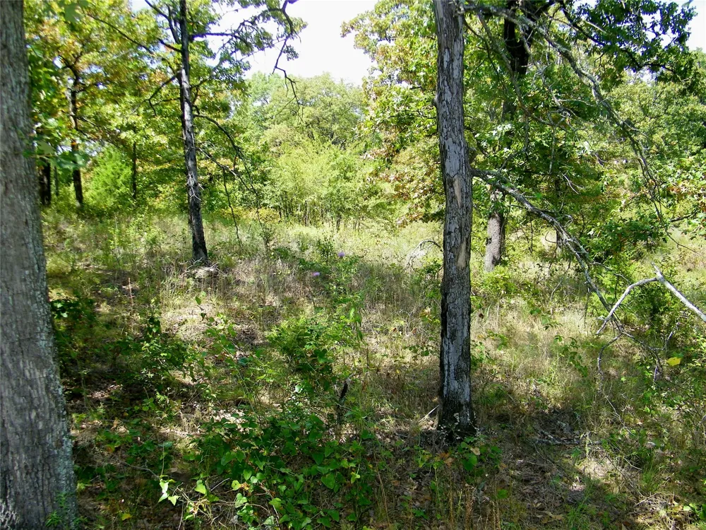 S 230th Road Henryetta, OK 74437