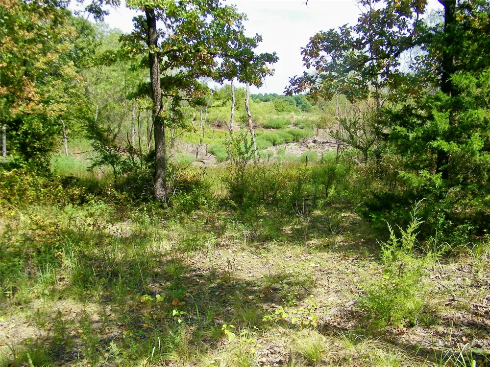 S 230th Road Henryetta, OK 74437