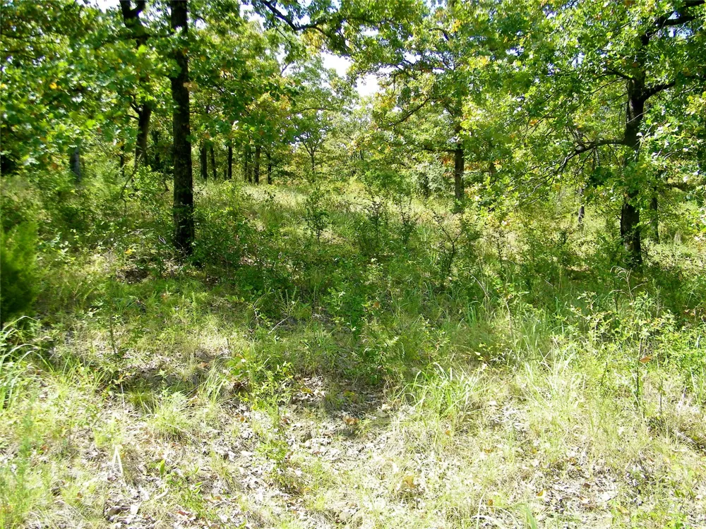 S 230th Road Henryetta, OK 74437