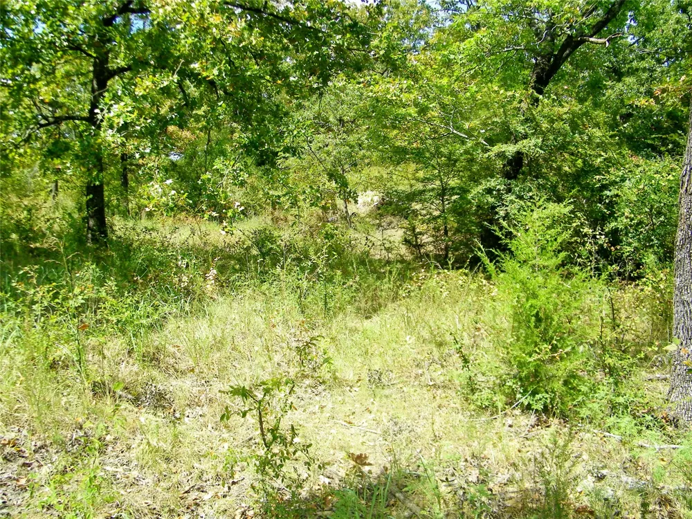 S 230th Road Henryetta, OK 74437