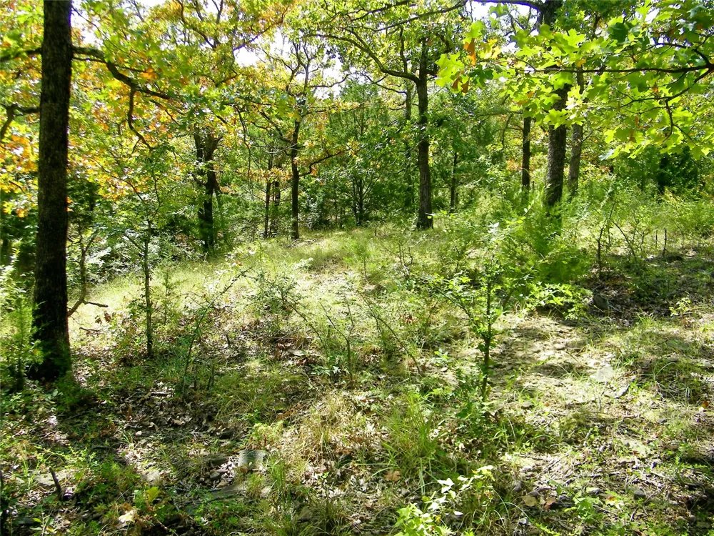 S 230th Road Henryetta, OK 74437