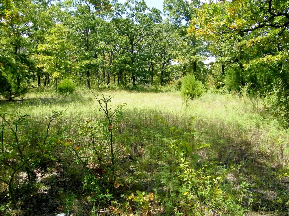 S 230th Road Henryetta, OK 74437
