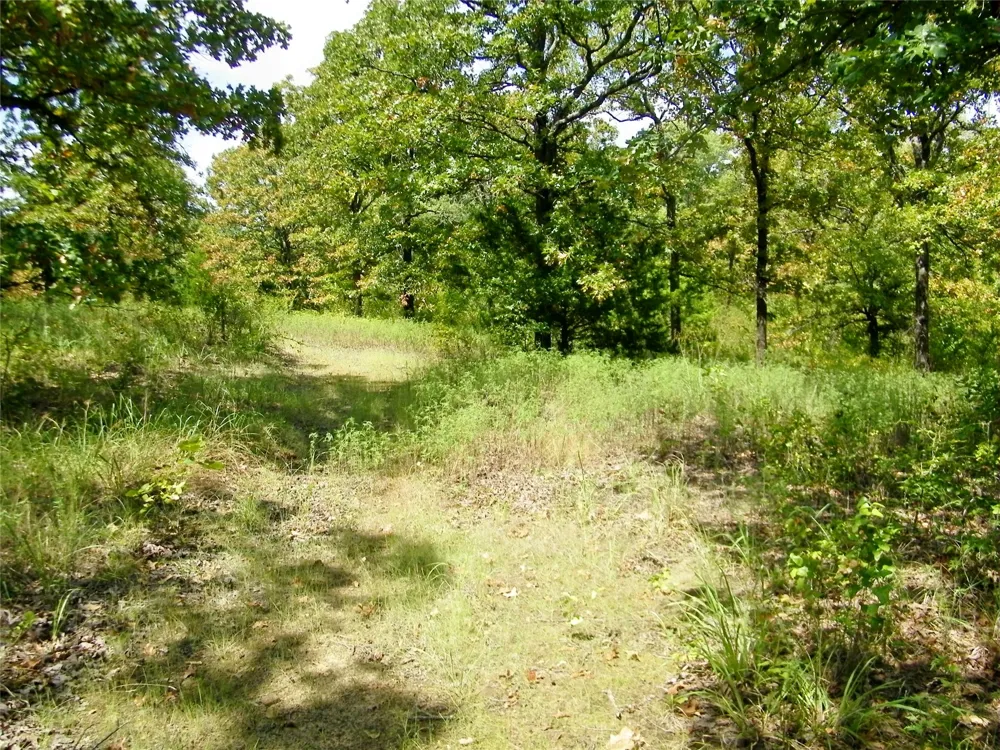 S 230th Road Henryetta, OK 74437