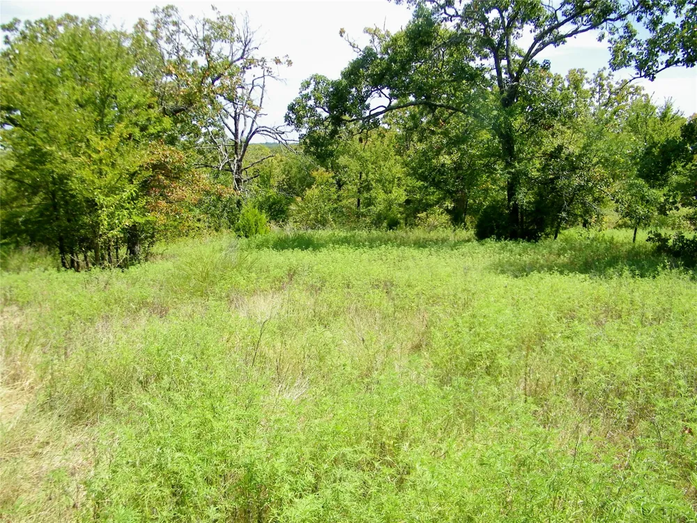 S 230th Road Henryetta, OK 74437