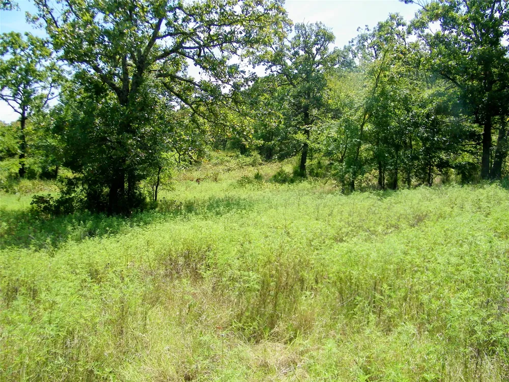 S 230th Road Henryetta, OK 74437