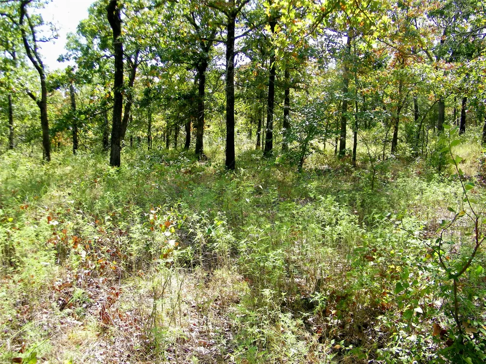 S 230th Road Henryetta, OK 74437