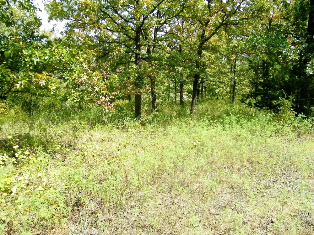 S 230th Road Henryetta, OK 74437