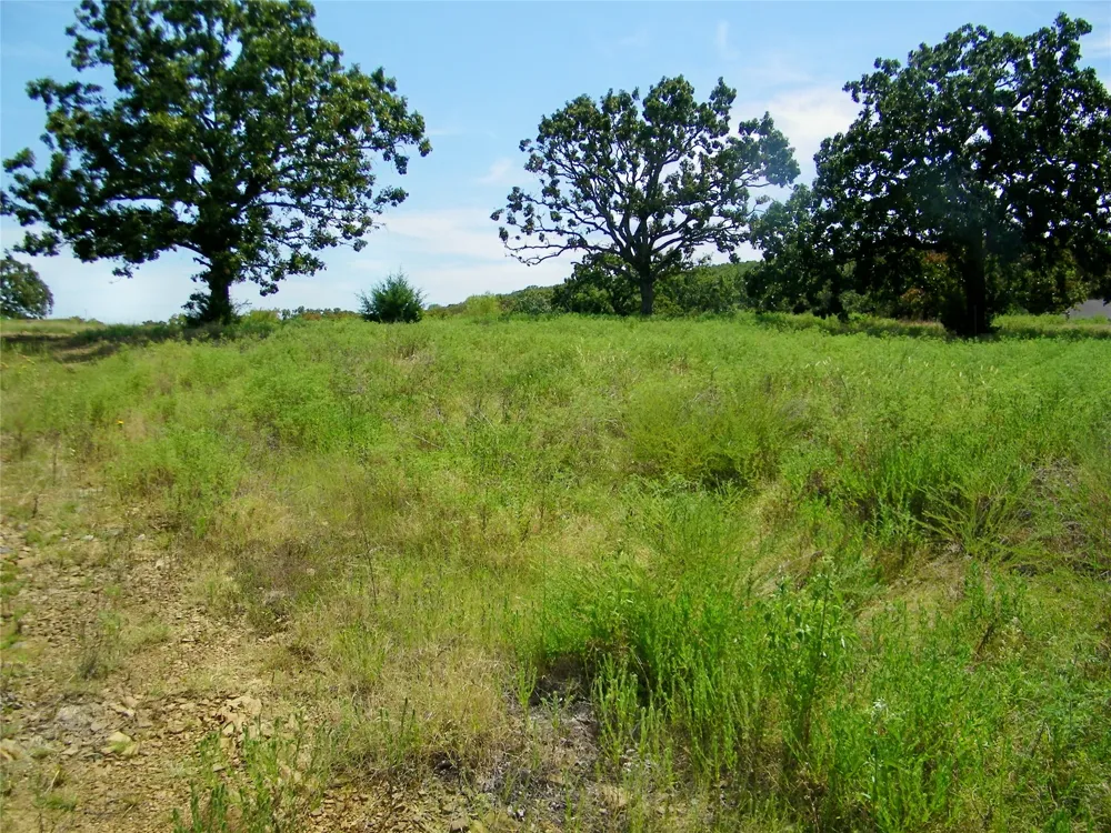S 230th Road Henryetta, OK 74437