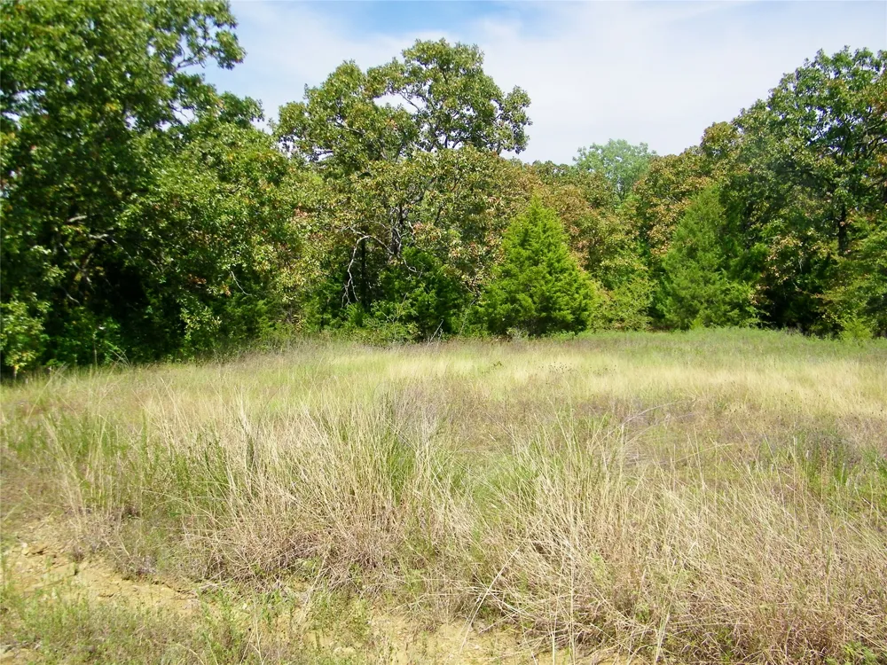S 230th Road Henryetta, OK 74437