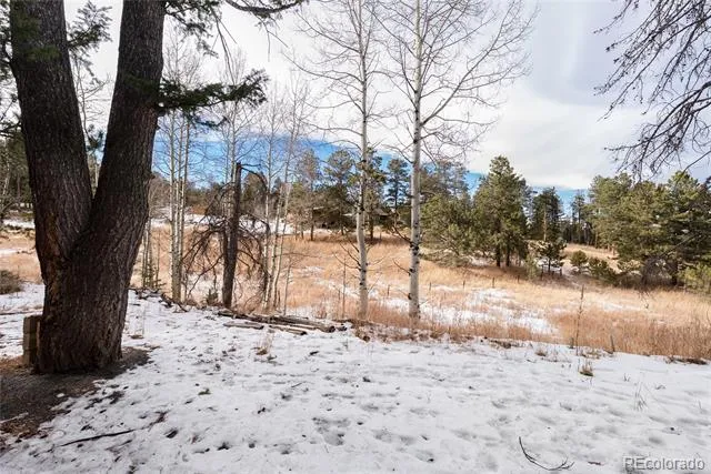 10783 Fox Trot Lane Conifer, CO 80433