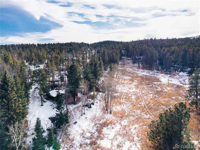 10783 Fox Trot Lane Conifer, CO 80433