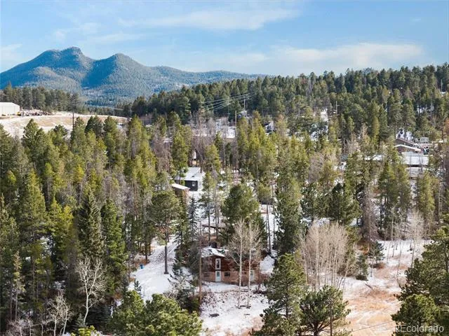 10783 Fox Trot Lane Conifer, CO 80433