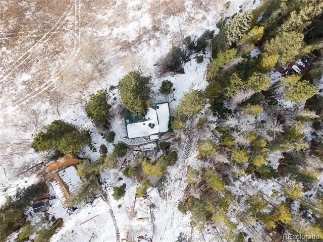 10783 Fox Trot Lane Conifer, CO 80433