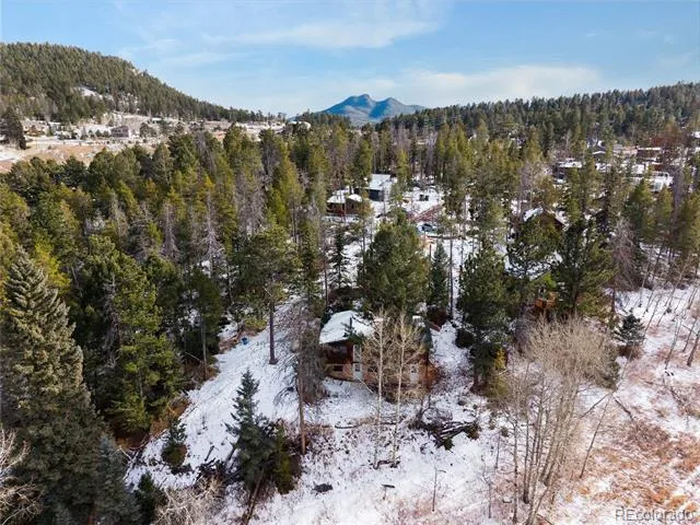 10783 Fox Trot Lane Conifer, CO 80433