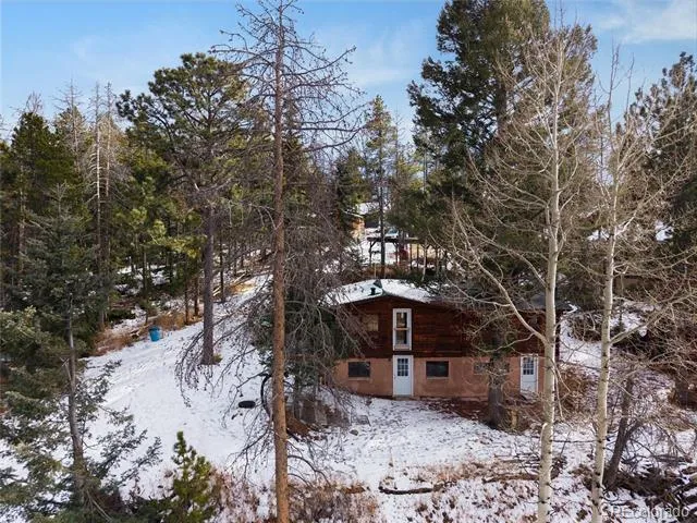 10783 Fox Trot Lane Conifer, CO 80433