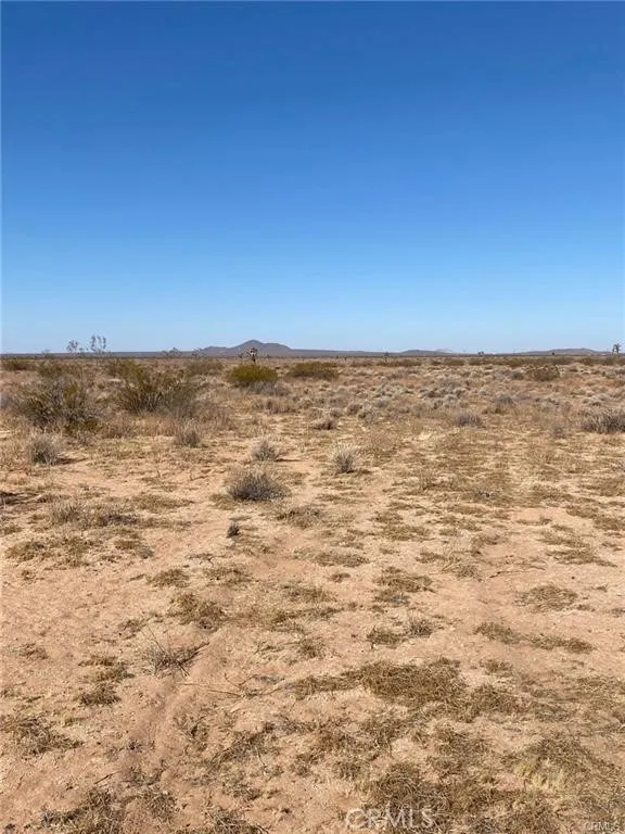 Shelby Road Helendale, CA 92342