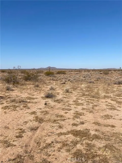 Shelby Road