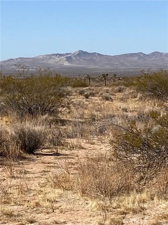 Shelby Road Helendale, CA 92342