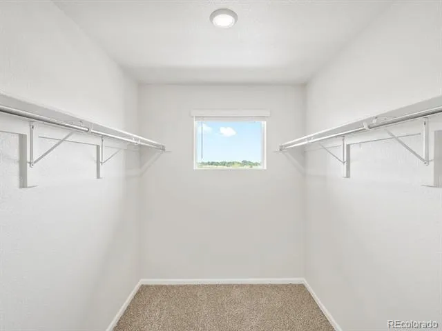 1600 Riverplace Drive #2 Windsor, CO 80550