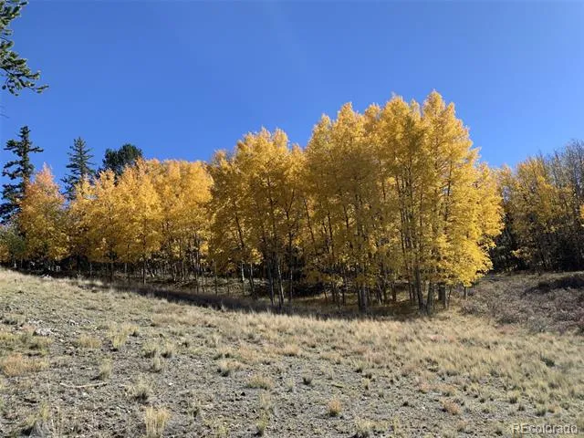 405 Quarter Horse Road Como, CO 80456