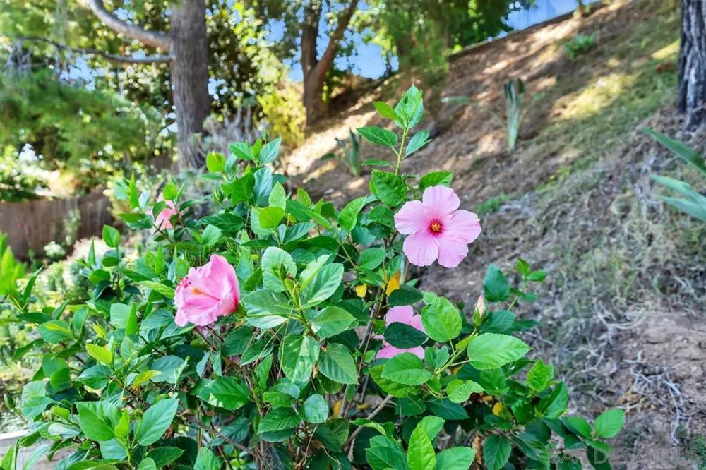 14520 Hillndale Way Poway, CA 92064